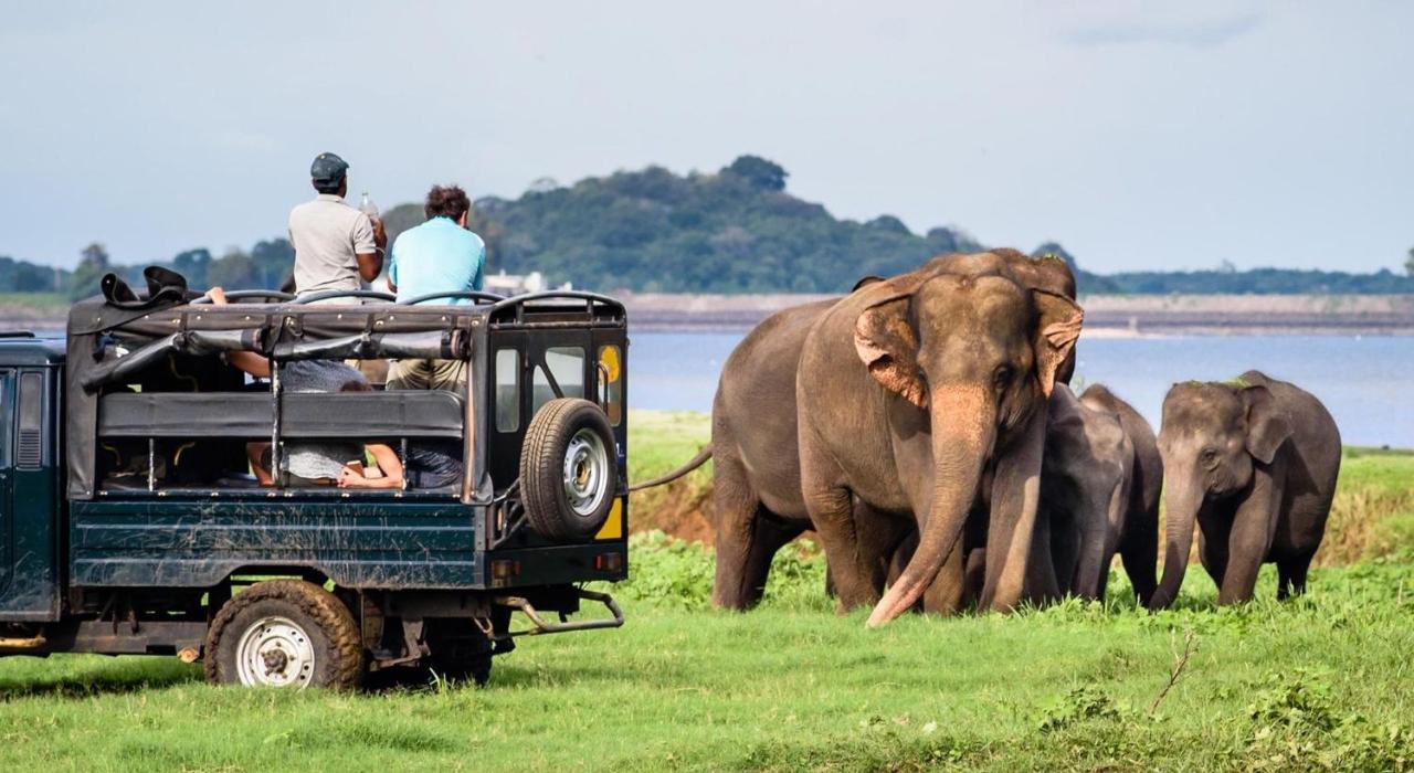 Dinesh Safari Homestay Udawalawe Dış mekan fotoğraf