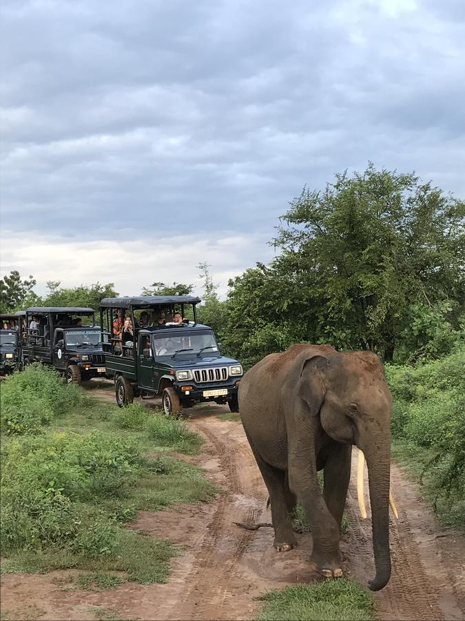 Dinesh Safari Homestay Udawalawe Dış mekan fotoğraf